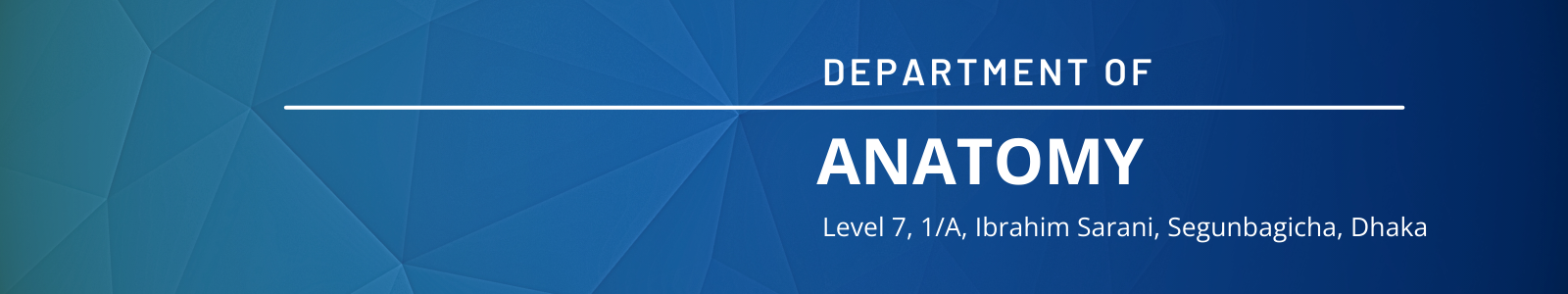 Department of Anatomy